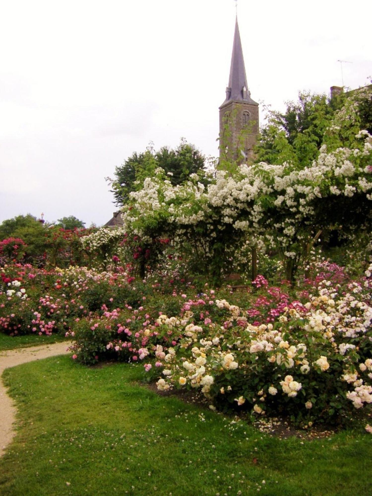 La Cloue Bed & Breakfast Sainte-Marie-du-Bois  Eksteriør bilde