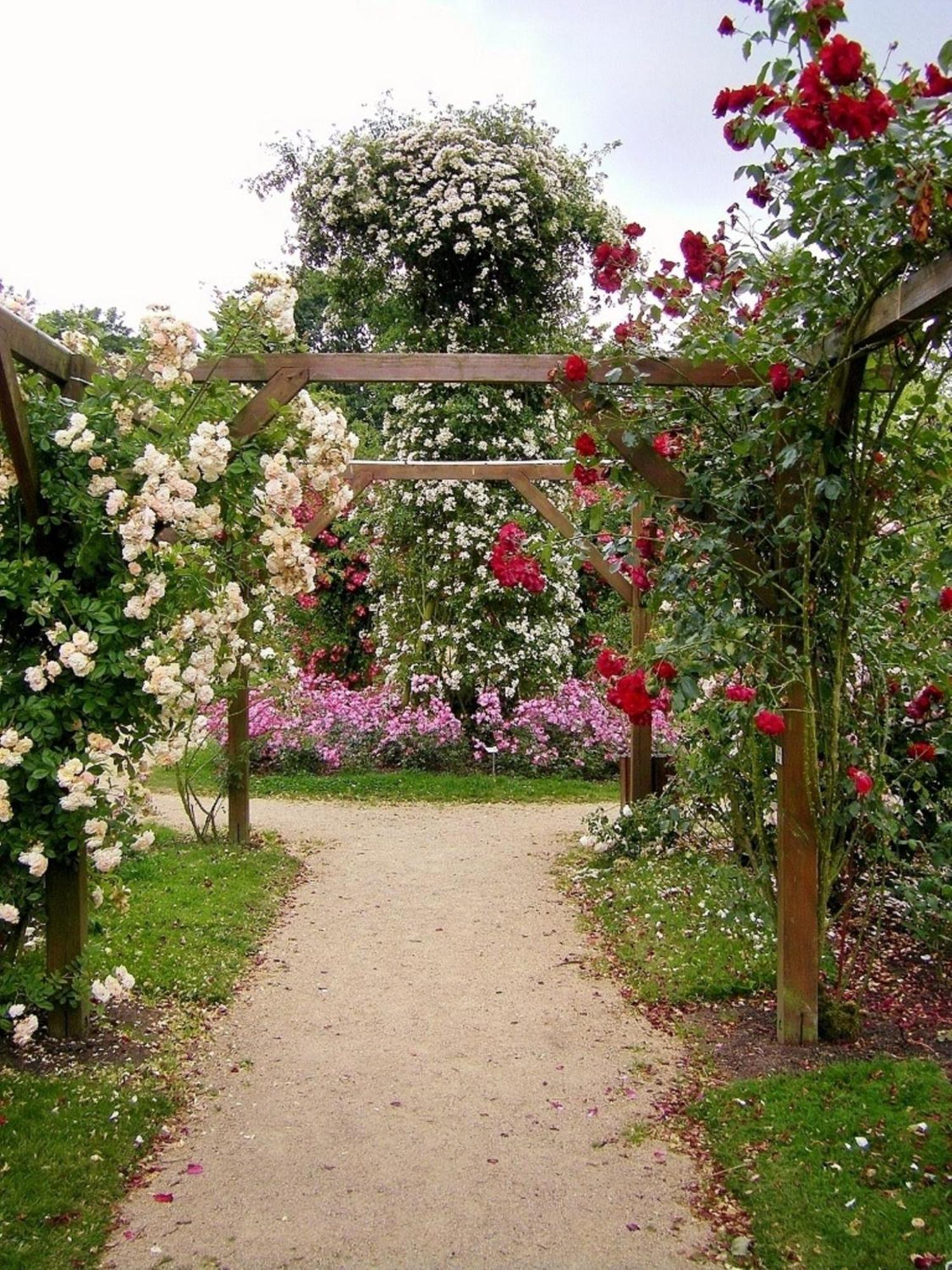 La Cloue Bed & Breakfast Sainte-Marie-du-Bois  Eksteriør bilde