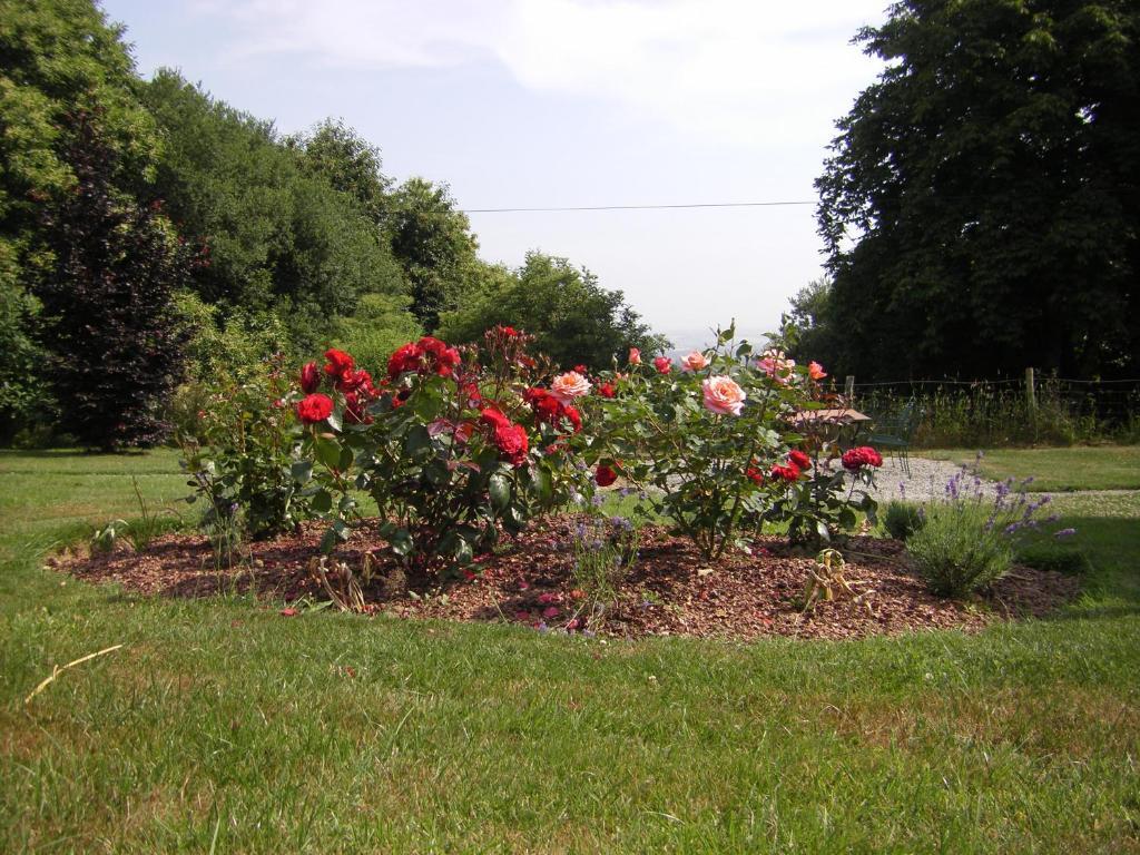 La Cloue Bed & Breakfast Sainte-Marie-du-Bois  Eksteriør bilde